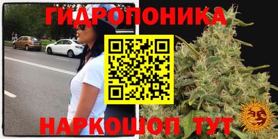 гашиш Гусев