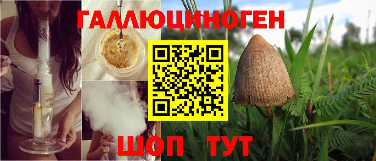 Галлюциногенные грибы мицелий Курск